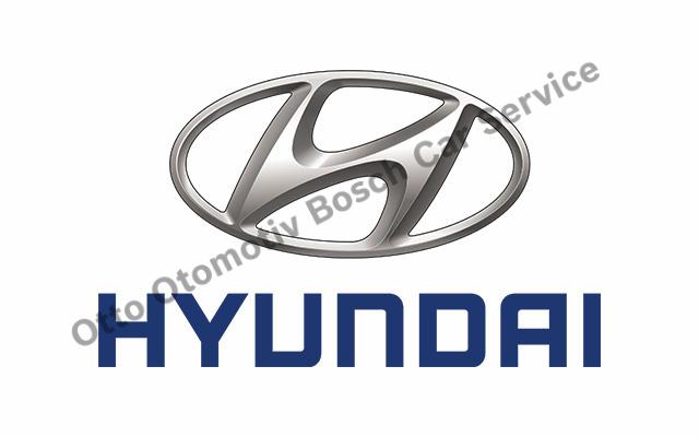 Tuzla Hyundai Servisi