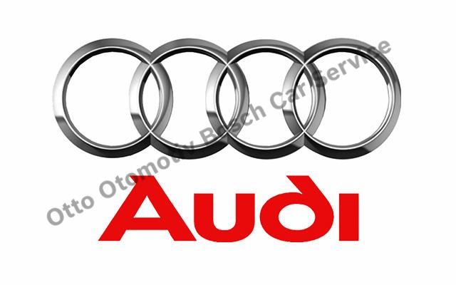 Tuzla Audi Servisi